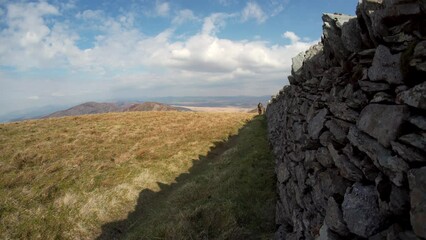 Wall Mural - Man hiking through rural Welsh scene near old stone wall in grass mountain plateaux 