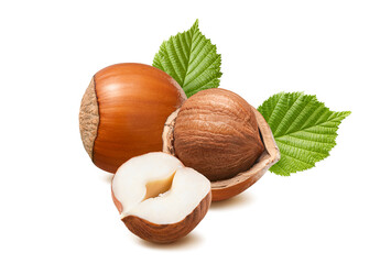 Wall Mural - group of whole and shelled hazelnuts with leaves isolated on white background