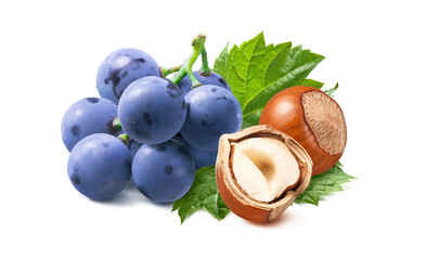 Wall Mural - hazelnuts and blue grapes isolated on white background
