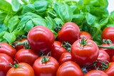 Fototapeta Kuchnia - Frisches Basilikum und frische Tomaten