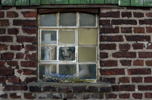 A Demonlike Face Appears Behind An Old
Window. The Hideous Face Holds A Crucifix In 
Its Hand And A Blue Flower Bouquet Lies On The
Windowsill. 
