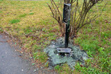 Fototapeta  - vandals set fire to a plastic trash can in the park. molten green mass on the cracked under the post pole. The plastics burn well and a cigarette butt is enough and the basket is on fire