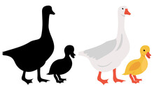 Goose And Gosling Silhouette On White Background Isolated