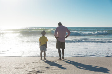 Wall Mural - Rear view of african american grandfather and grandchild standing at beach with copy space on sky