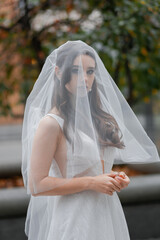 Wall Mural - Charming young bride with a veil.