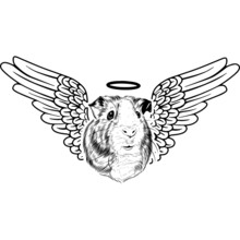 Guinea Pig With Wings And Halo Vector
