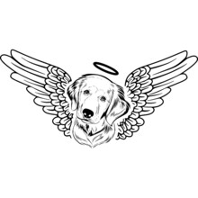 Golden Retriever With Wings And Halo Vector