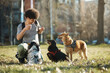 © Drazen - Happy pet sitter and small group of dogs in park.