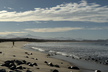 Canvas Print - woman running in todos santos baja california beach