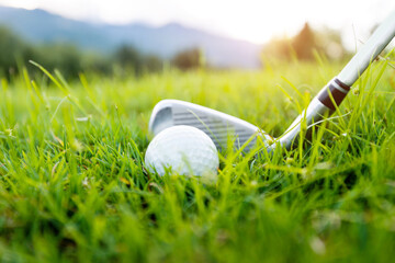 Wall Mural - Golf club and ball on green lawn