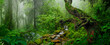 Leinwandbild Motiv Rain forest with morning mist
