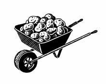 Wheelbarrow Full Of Potatoes