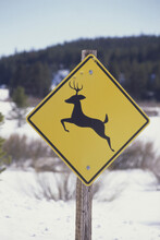 Deer Sign