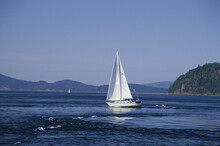 Sailboat In The Sea, San Juan Islands, Washington, USA