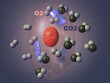 © SuperStock - Close-up of the atoms of oxygen and carbon dioxide in human cells
