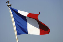French Flag Fluttering