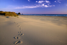 Footprints On The Sand At The Beach, Cannon Beach, Oregon, USA