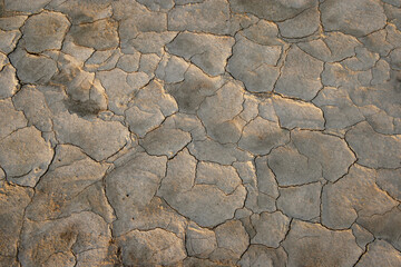 Close-up of a dry field