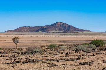 Wall Mural - Namibia, panorama of the Namib desert, wild landscape with a dirt road in background
