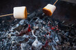On two skewers, large pieces of marshmallow toasted over smoldering charcoal with the last sparks of fire and smoke. Small depth of field.