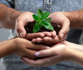 Poster - Were all a work in progress. Cropped shot of a group of people holding a plant growing out of soil.