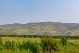 Fototapeta Sawanna - mountainous terrain and green fields in georgia