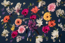 Abstract Collage Of Colorful Wild Flowers On Mirror Reflecting The Sky In Spring