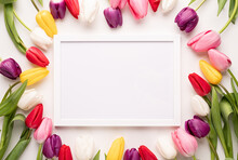 White Frame With Colorful Spring Tulips Top View Over White Background