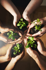 Poster - Every little bit helps. Cropped shot of a group of people holding plants growing out of soil.