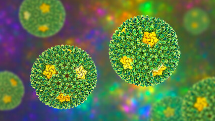 Canvas Print - Reoviruses, viruses that cause infection of gastrointestinal and respiratory system