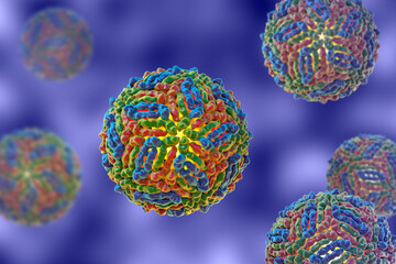 Poster - West Nile virus, WNV, 3D illustration