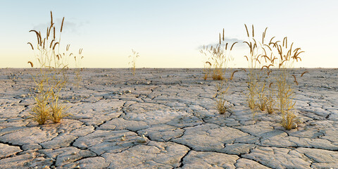Wall Mural - climate change concept. wheat field with dry clay ground. drought impact with cracked earth. 3d rend