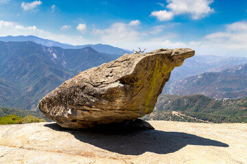 Poster - Sequoia National Park in California