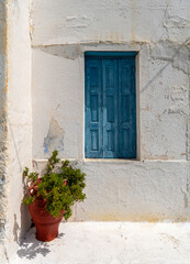  A flowerpot in front of an old house with a blue window on white-washed walls. Pyles village, Karpathos island, Greece.
