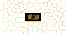 Voronoi Pattern Grid Lines Texture On White Background