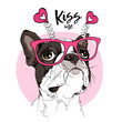 Card of a Valentine's Day. Portrait of the dreaming funny Boston Terrier dog in the pink glasses with hearts. Humor card, t-shirt composition, hand drawn style print. Vector illustration.