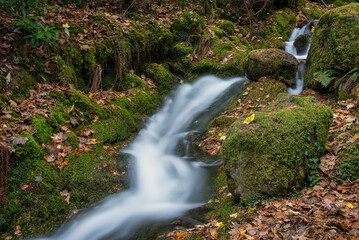 Wall Mural - Stunning waterfall landscape image in vibrant Autumn woodland in Lake District