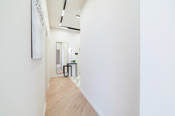 Wall Mural - interior of a white corridor in a house with a dark wooden floor