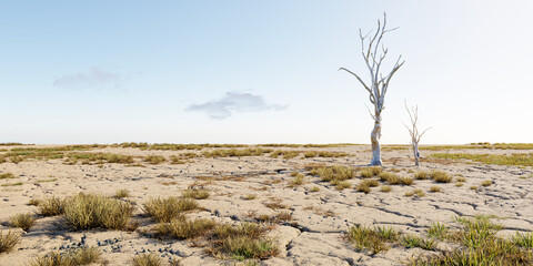 Wall Mural - climate change concept. dry clay ground with dead tree. drought impact with cracked earth. 3d render
