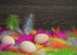 wielkanocne jaja w kolorowych piórach na ciemnym tle z miejscem na kopie