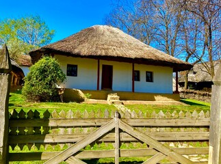 Wall Mural - house in the woods