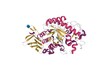© Walter_D - Crystal structure of human pancreatic alpha amylase. 3D cartoon model, secondary structure color scheme, PDB 5u3a, white background