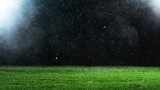 Fototapeta Sport - Abstract football soccer green lawn background