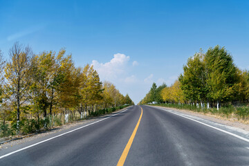 Curved asphalt road surrounded with trees on a sunny day