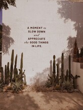Quote On A Wall That Says "A Moment To Slow Down And Appreciate The Good Things In Life"