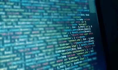 Wall Mural - software development monitor screen background. developer display with source code. programming conc