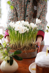 Wall Mural - Christian holiday, Easter. Baking with white icing with a candle. Easter cake with hands. Festive table setting: flowers, colored eggs. Spring atmosphere, outdoor. Background image