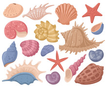 Cartoon Sea Shell, Starfish, Marine Mollusks Shells, Underwater Clams. Summer Beach Seashells, Ocean Mollusks Sea Shells Vector Symbols Illustrations. Marine Seashells Set