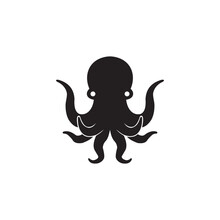 sea fish squid