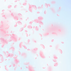 Wall Mural - Sakura petals falling down. Romantic pink flowers gradient. Flying petals on blue sky square background. Love, romance concept. Astonishing wedding invitation.